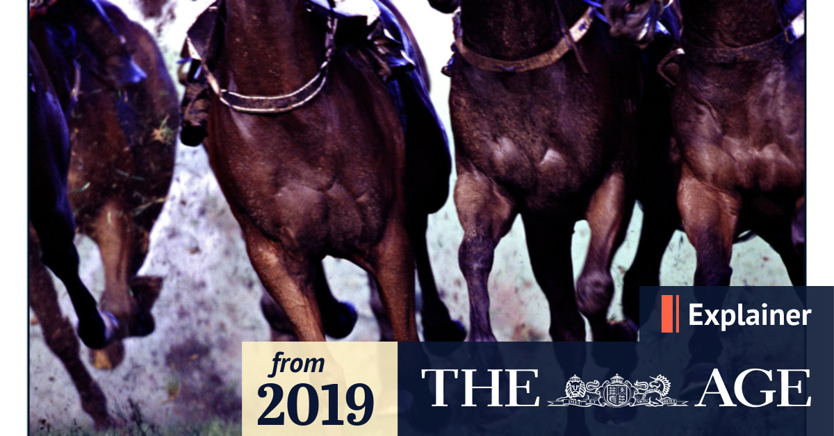 How might horse racing be cruel?